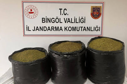 Bingöl'de uyuşturucu operasyonu