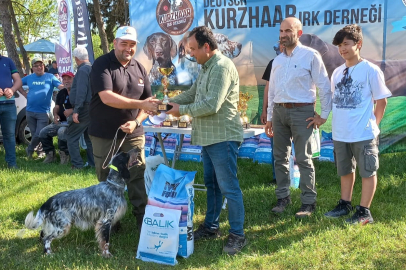 Manisa’da av köpekleri ödül için yarıştı!