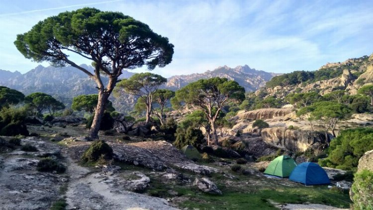 Bağarcık Kamp Alanı - Koçarlı