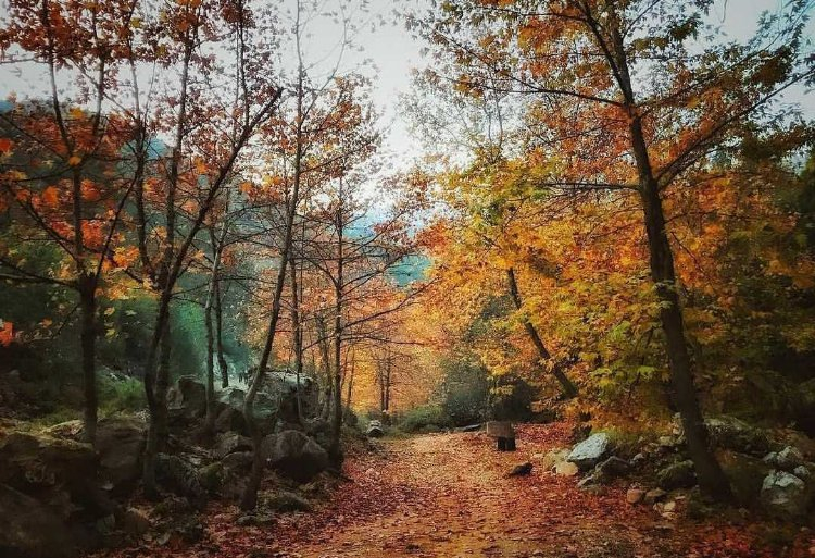 İsrafil Deresi Kamp Alanı