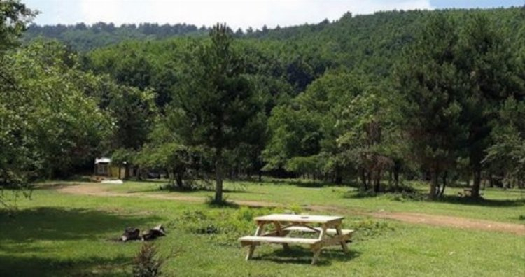 Keyfi Garden Park Kamp Alanı