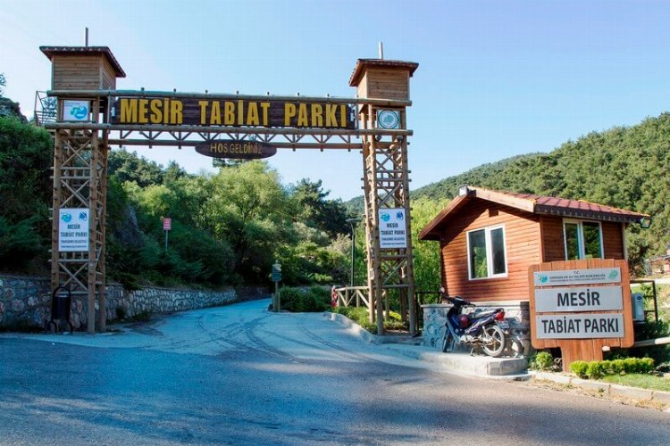 Mesir Tabiat Parkı Kamp Alanı