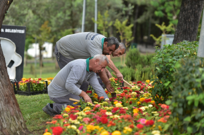 Bornova’nın parkları rengarenk olacak