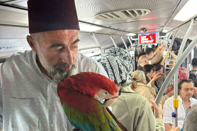 İstanbul'da metrobüste papağan sürprizi: 'Allah' diyerek seslendi