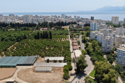 Antalya alarm veriyor: 93 bin futbol sahası büyüklüğünde tarım toprağı yok oldu