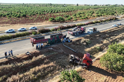 Kurbanlık boğaları taşıyan tır kaza yaptı: Kurbanlıklara araziye dağıldı