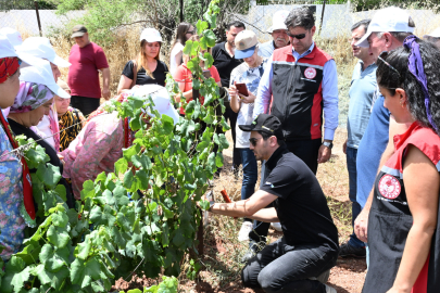 İzmir’de üzümde ilaç kalıntısına geçit vermeyeceğiz