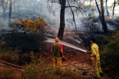 İzmir Büyükşehir, orman yangınları için teyakkuzda...355 yangının 325'i başlangıç aşamasında söndürüldü