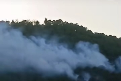 Bayraklı'da ormanlık alanda yangın çıktı!