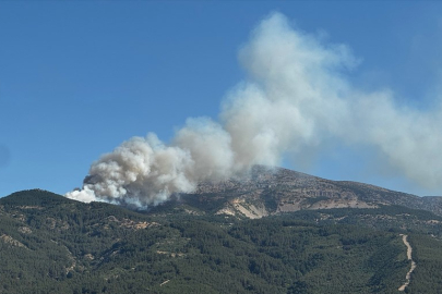 Manisa Spil Dağı'nda çıkan orman yangınına müdahale ediliyor