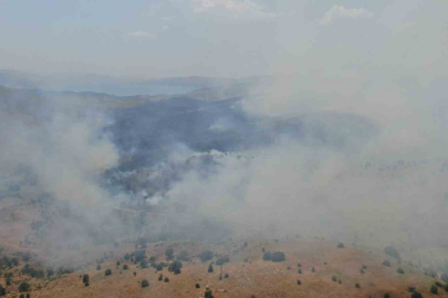 Elazığ'da orman yangını!