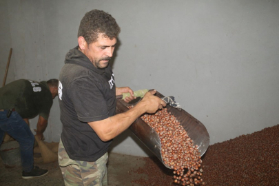 Fındık işçileri en ucuz paraya en ağır işi yapıyorlar