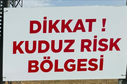 Niğde'de bir mahallede kuduz karantinası başlatıldı