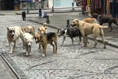 Başkan Tugay: Bir insan başka bir insana zarar verince uyutuyor muyuz?