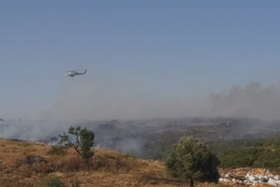 Didim'de makilik alanda yangın