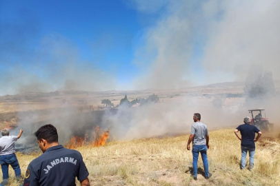Sivas'ta yangın: 20 dekarlık alan kül oldu
