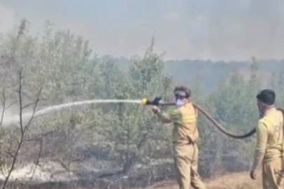 Edirne'de üç köyü etkileyen yangın söndürüldü