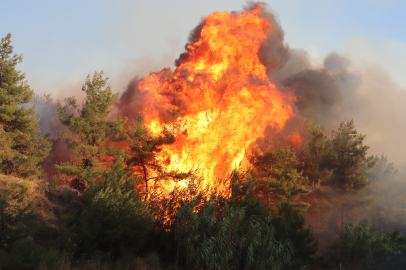 Selçuk'ta orman yangını: 4 uçak, 8 helikopter ve 44 arazözle müdahale ediliyor