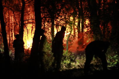 Tarım ve Orman Bakanlığı Kuşadası yangını hakkında açıklama yaptı