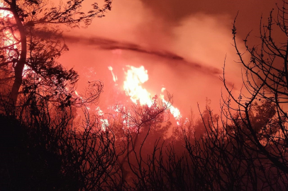 İzmir'de başlayıp Aydın'a sıçrayan orman yangınına  müdahale devam ediyor