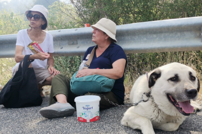 İzmir haber: Bornova'da orman yangını! Köpeğiyle birlikte alevlerden kaçtı, o anları gözyaşları içinde anlattı