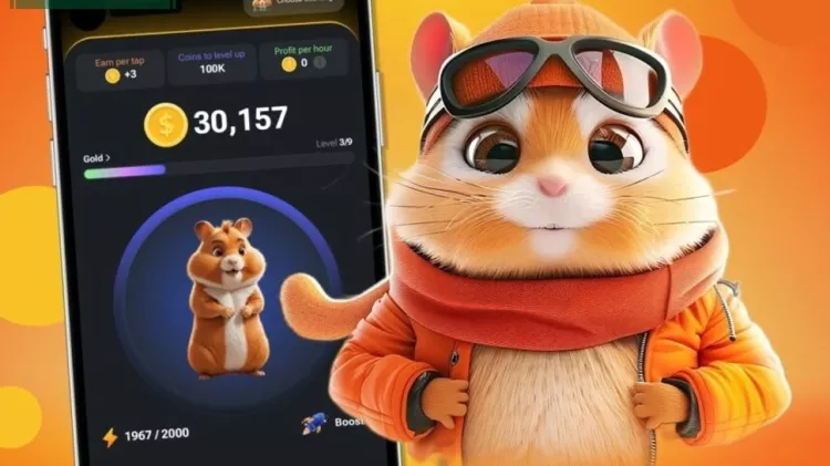 hamster kombat günlük kart