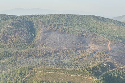 Bodrum'daki orman yangını kontrol altına alındı