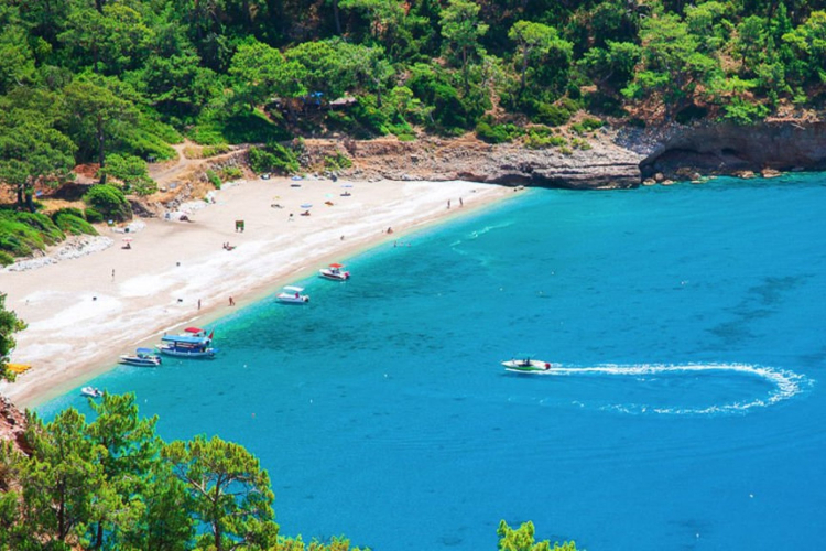 KABAK KOYU