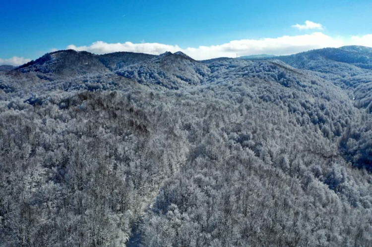 samanlı dağlar