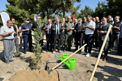 İzmir'de 15 Temmuz şehitleri için hatıra ormanı oluşturuldu