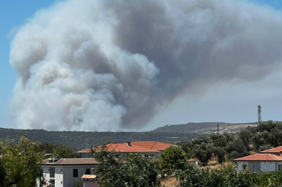 Çeşme'deki yangın kontrol altına alındı!