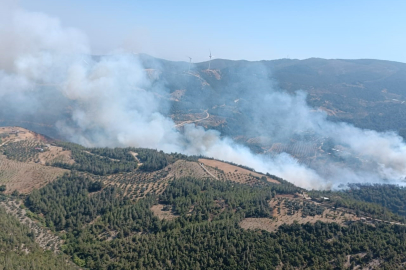 Hatay'da orman yangınına müdahale devam ediyor