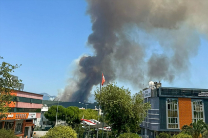 İzmir Gaziemir'de ormanlık alanda yangın