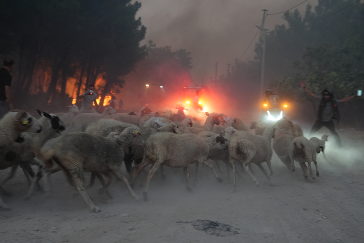 yangın izmir