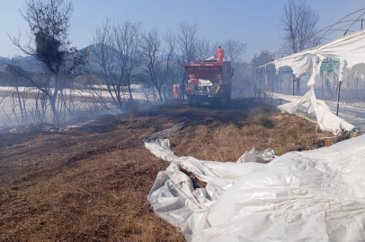 Antalya’da korkutan yangın: Otluk alanda başladı, seraya sıçradı