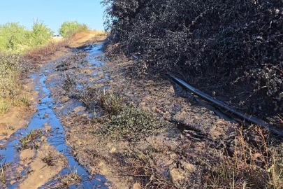 Adıyaman'da korkutan patlama: Petrol boruları fışkırdı, yollar ham petrolle kaplandı