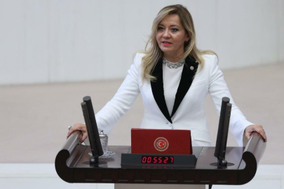 Aylin Cesur kimdir? Aylin Cesur İYİ Parti’den neden istifa etti?