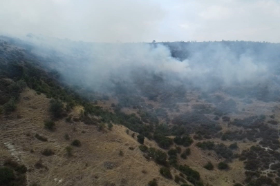 Afyon'da dağlık alanda yangın!