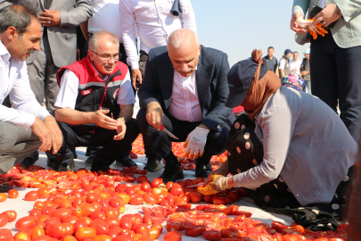 İtalyanların pizza sosu Diyarbakır'dan gidiyor