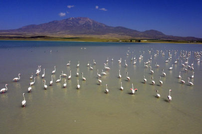 Bitlis’te hangi göller var? Bitlis’in en büyük gölü hangisi?