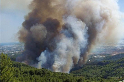 Antalya'da orman yangınına müdahale sürüyor