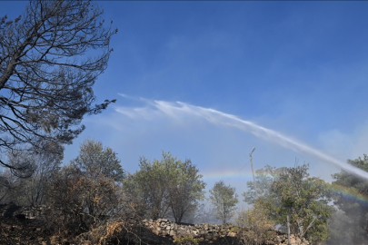 Gaziantep'te orman yangınına müdahale devam ediyor