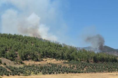 Hatay'da korkutan orman yangını