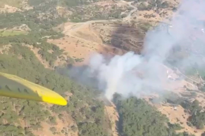 İzmir'de orman yangınına hava ve kara ekipleriyle müdahale devam ediyor