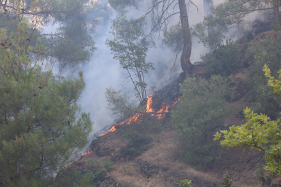 Kahramanmaraş’ta orman yangını