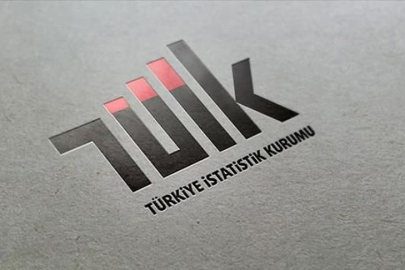 TÜİK nedir, ne işe yarar? 2024 TÜİK Başkanı kimdir?