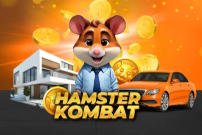 Hamster Kombat Günlük Kombo Kartları 7 Ağustos 2024! Hamster Kombat günlük kombo kart