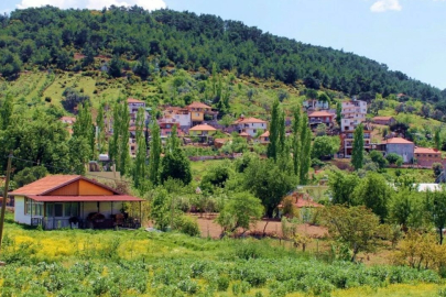 Orada bir köy var… Hem de çok yakın: Kaynaklar Köyü!