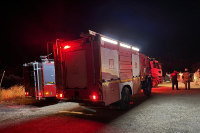 İzmir haber: Karaburun'da orman yangını!