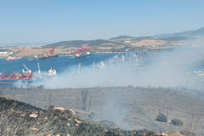 İzmir haber:  Aliağa'da orman yangını